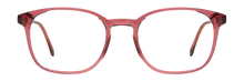 Load image into Gallery viewer, Alessandro
