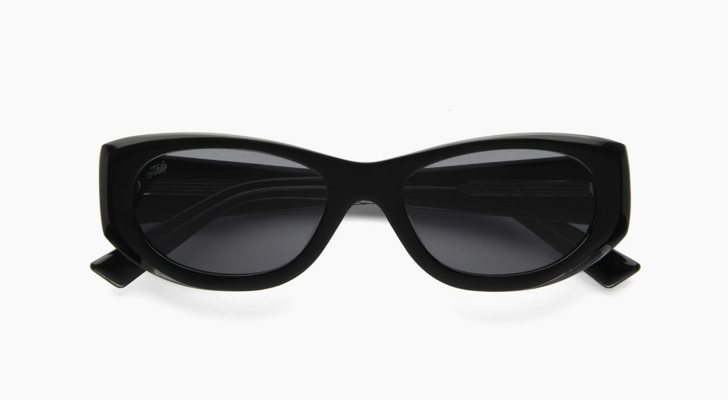 Newt Sunglasses